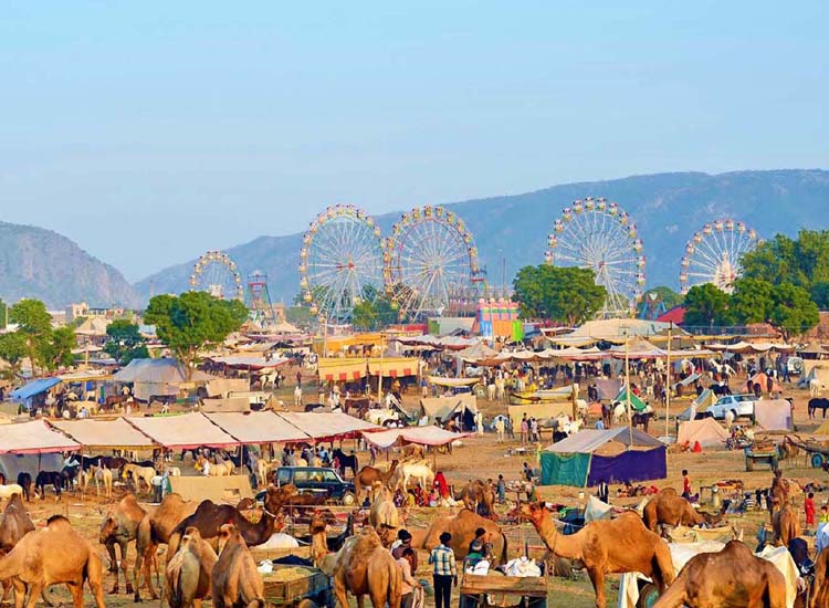 pushkar camel fair, Rajasthan in India