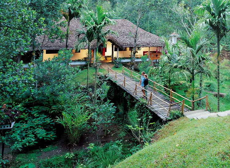 Shalimar Spice Garden in Thekkady