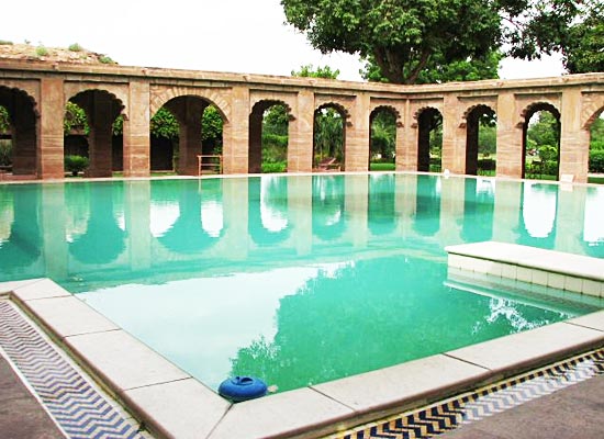 Balsamand Lake Palace Jodhpur Poolside