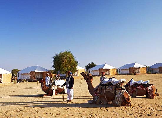 Manvar Desert Camp Jodhpur camel safari outside camp