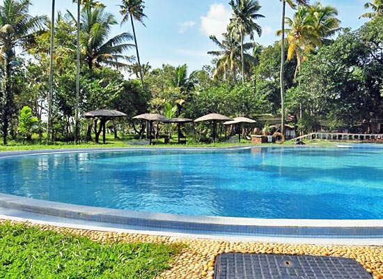  Coconut Lagoon Resort kumarakom pool view