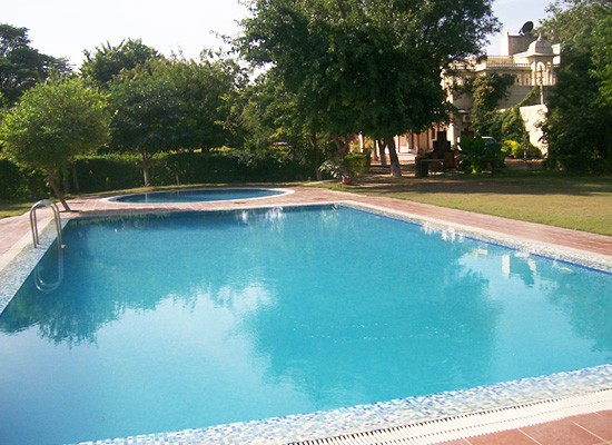 Hotel Sariska Palace alwer pool