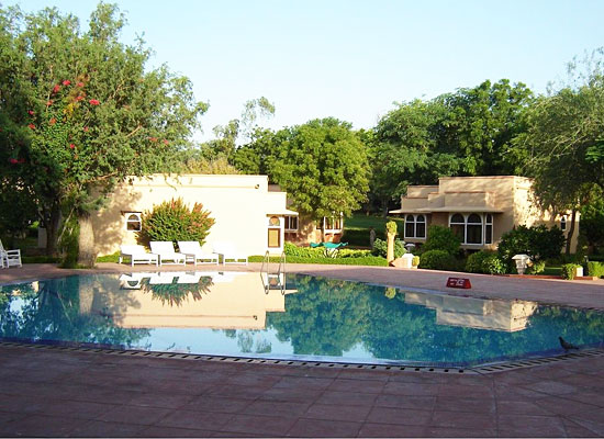 Heritage Resort Bikaner Swimming Pool