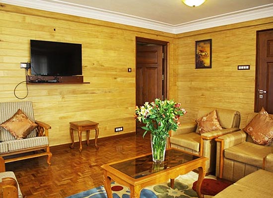 Dekeling Resort darjeeling living room