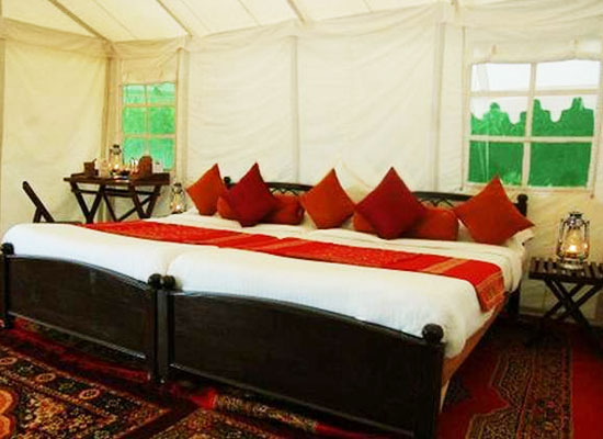 Room at Ranthambore Forest Resort Sawai Madhopur