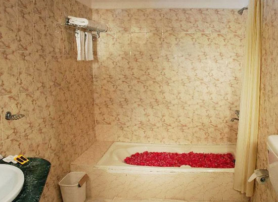 bathroom of Ranthambore Forest Resort Sawai Madhopur