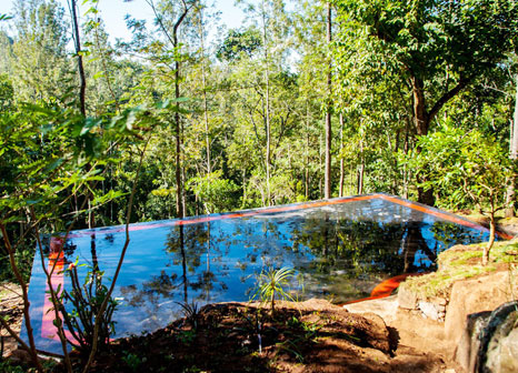 Rajakkad Estate Madurai Swimming Pool