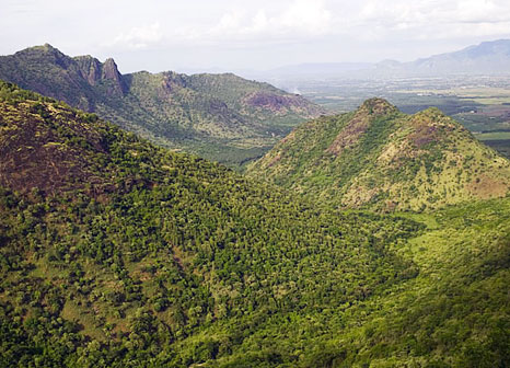Hill View from Rajakkad Estate Madurai